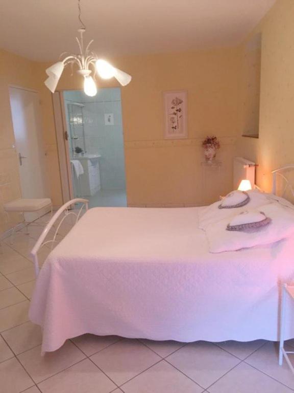Chambres D'Hotes Du Maspourquet Saint-Santin-Aveyron Eksteriør bilde